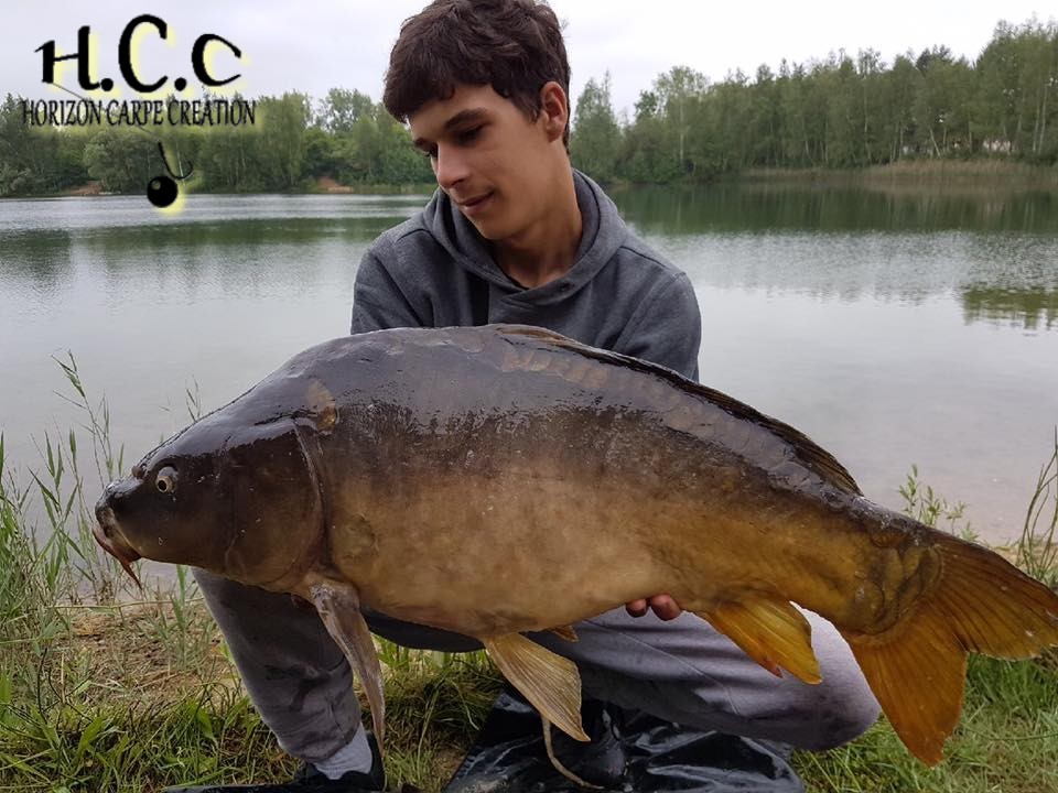 YOHANN WAROQUEAU - JEUNE HCC