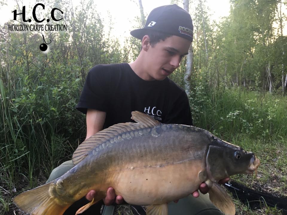YOHANN WAROQUEAUX - JEUNE HCC