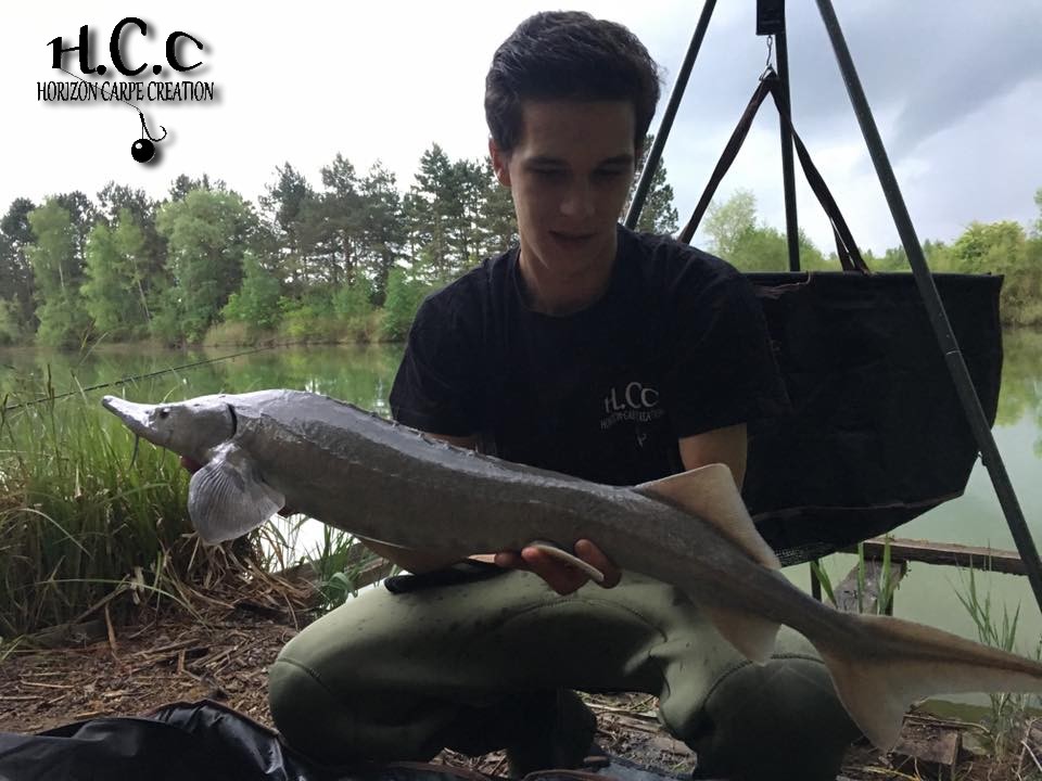 YOHANN WAROQUEAUX - JEUNE HCC