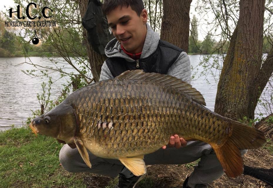 YOHANN WAROQUEAUX - JEUNE HCC