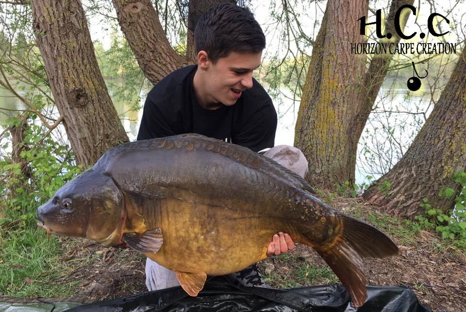 YOHANN WAROQUEAUX - JEUNE HCC
