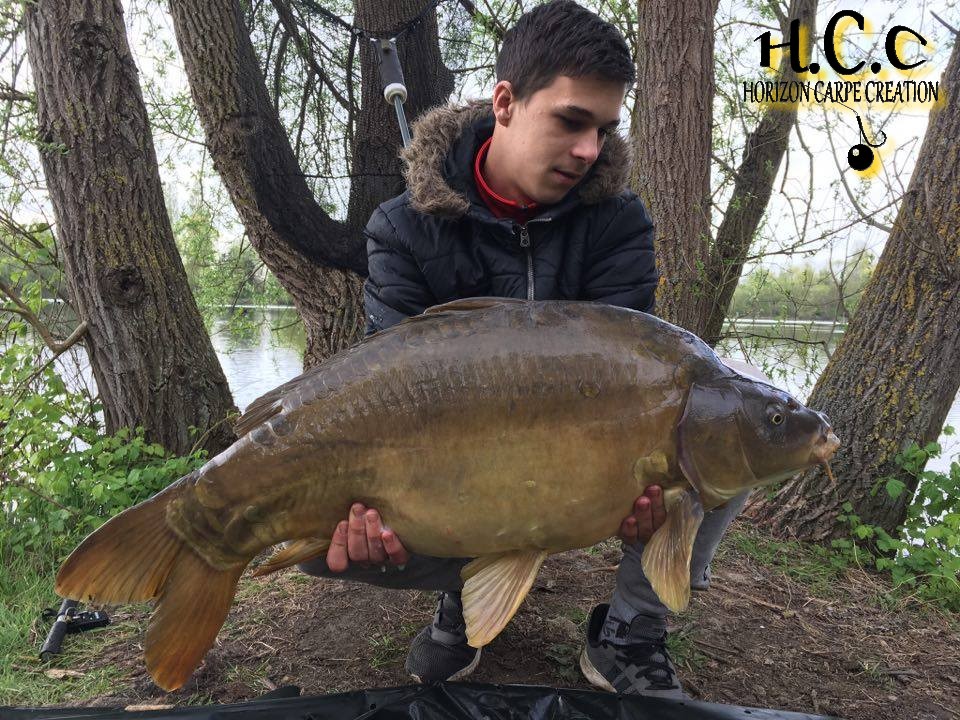 YOHANN WAROQUEAUX - JEUNE HCC