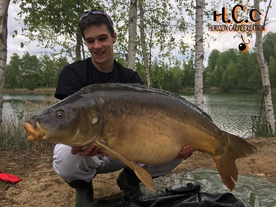 YOHANN WAROQUEAUX - JEUNE HCC