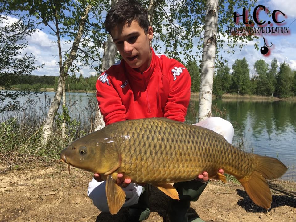 YOHANN WAROQUEAUX - JEUNE HCC