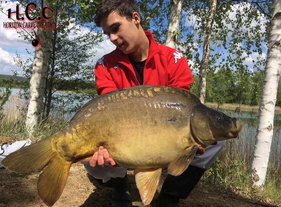 YOHANN WAROQUEAUX - JEUNE HCC
