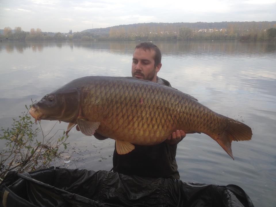 Olivier Rosina, Testeur