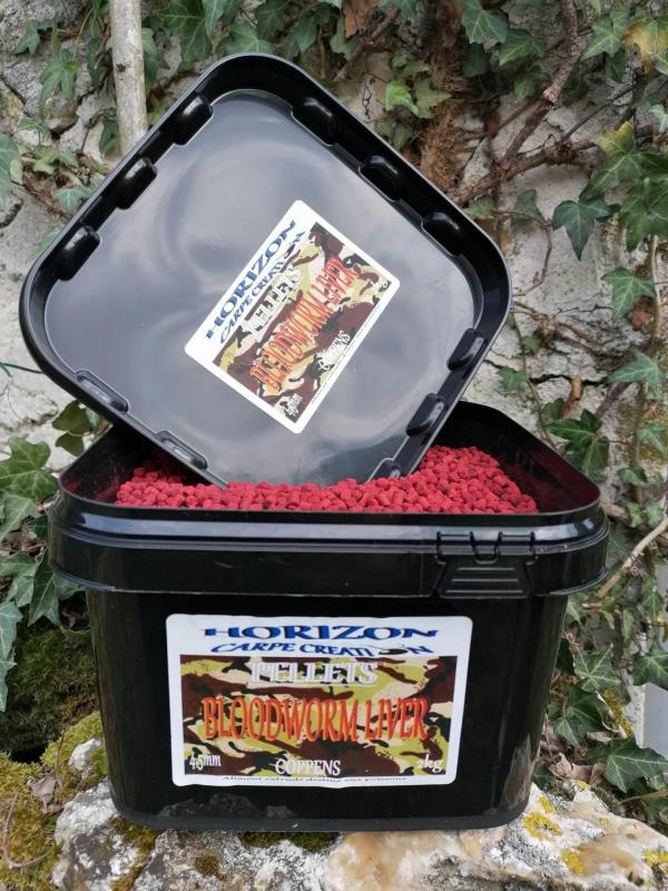 336658619 736170401250146 7006240905524974358 n