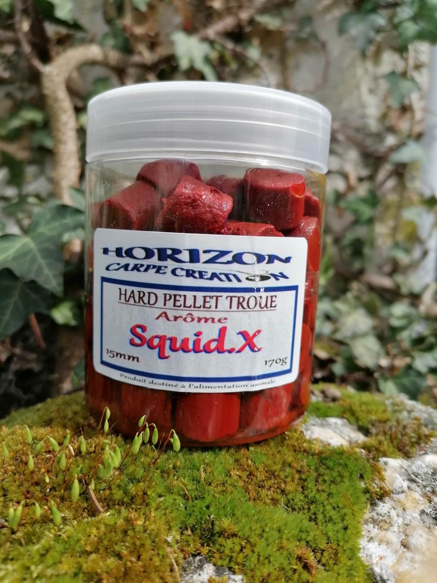 336660815 2368310433346611 1340050745943863642 n