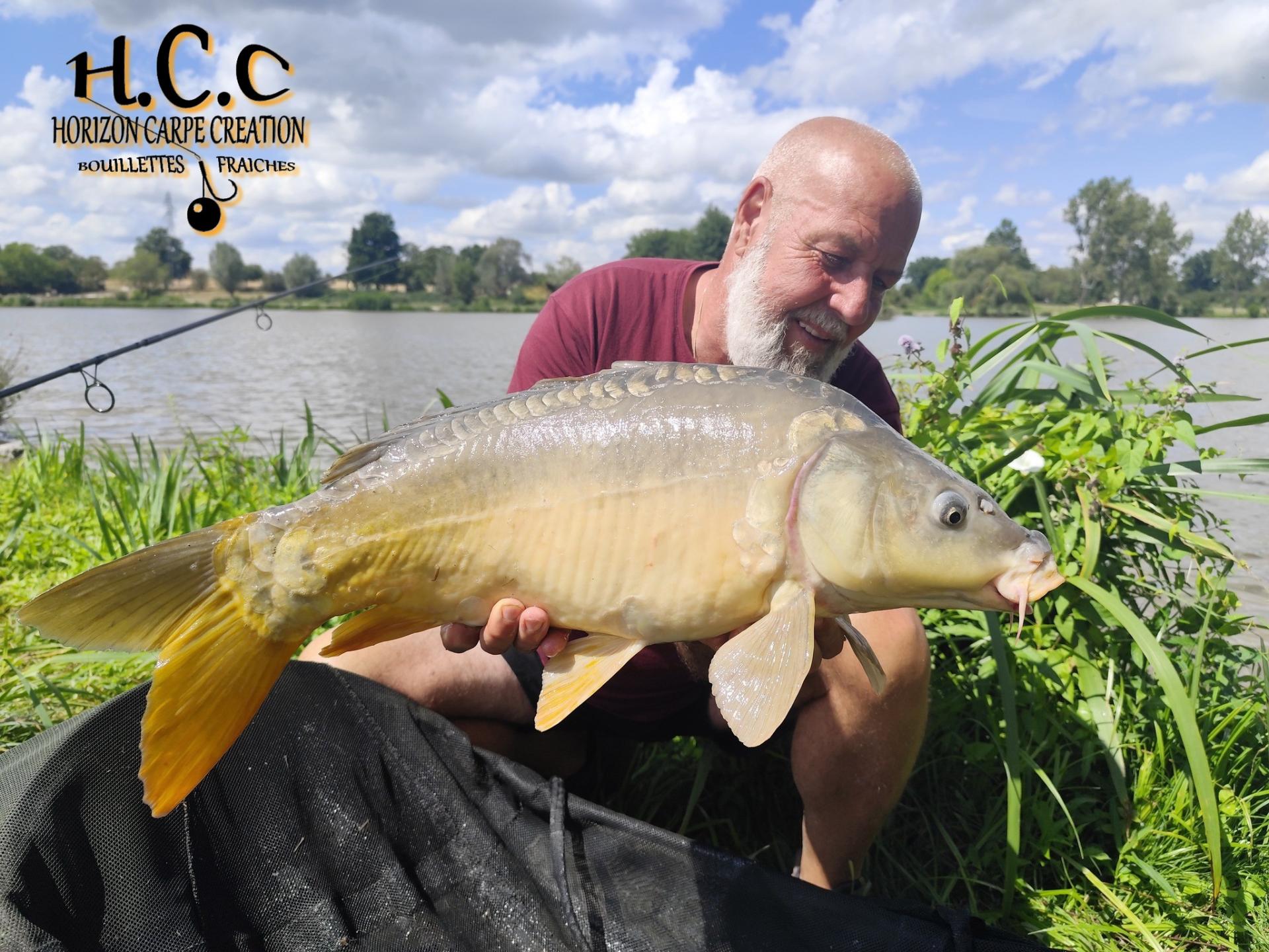 MONTEGU PHILIPPE - HCC