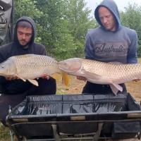 ALEXIS BREBION - CLIENT HCC