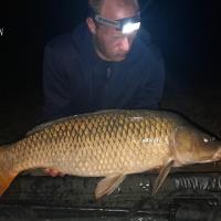 ALEXIS BREBION - CLIENT HCC