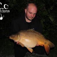 ANTHONY ZAMBELLI - TESTEUR HCC