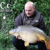 ANTHONY ZAMBELLI - TESTEUR HCC