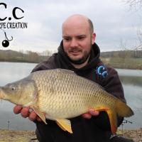 ANTHONY ZAMBELLI - TESTEUR HCC