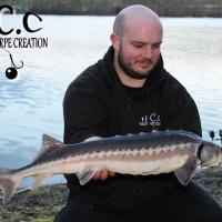 ANTHONY ZAMBELLI - TESTEUR HCC