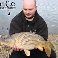 ANTHONY ZAMBELLI - TESTEUR HCC