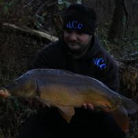 ANTHONY ZAMBELLI - TESTEUR HCC