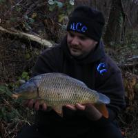 ANTHONY ZAMBELLI - TESTEUR HCC