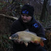 ANTHONY ZAMBELLI - TESTEUR HCC