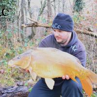ANTHONY ZAMBELLI - TESTEUR HCC