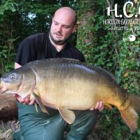 ANTHONY ZAMBELLI - TESTEUR HCC