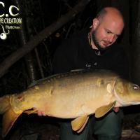 ANTHONY ZAMBELLI - TESTEUR HCC