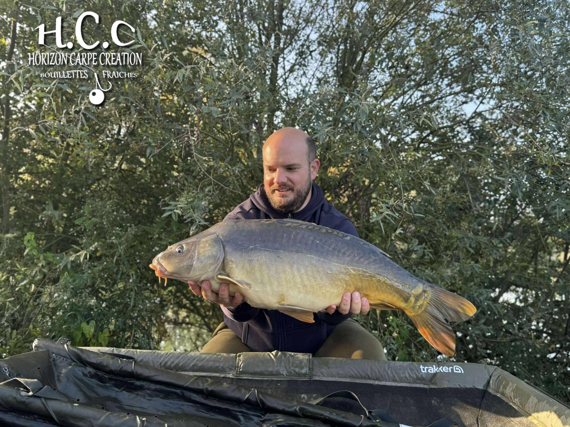 ANTHONY ZAMBELLI - TESTEUR HCC