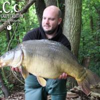 ANTHONY ZAMBELLI - TESTEUR HCC