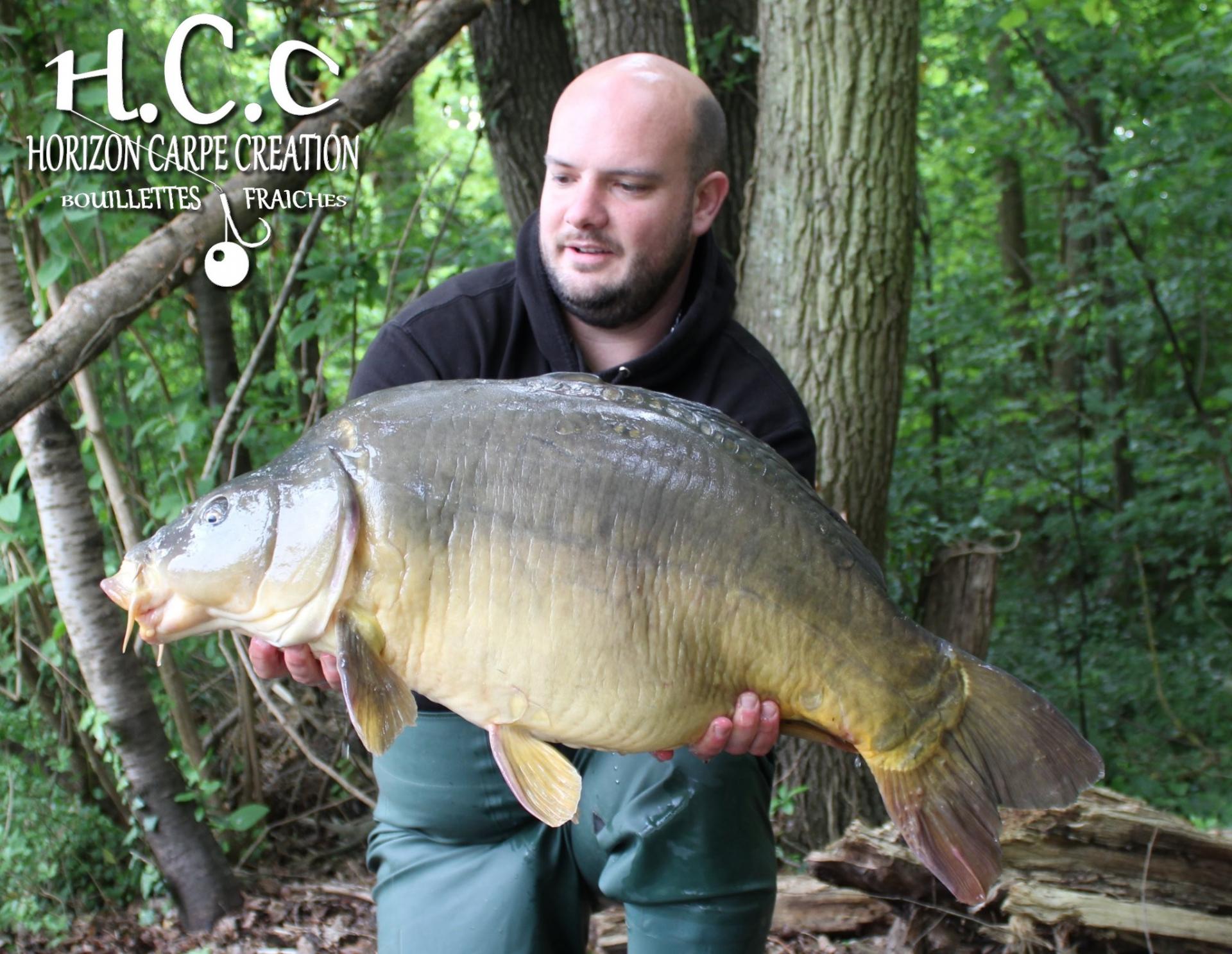 ANTHONY ZAMBELLI - TESTEUR HCC