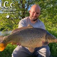 ANTHONY ZAMBELLI - TESTEUR HCC