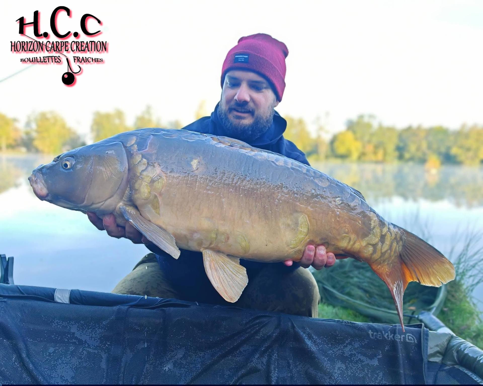ANTHONY ZAMBELLI - TESTEUR HCC