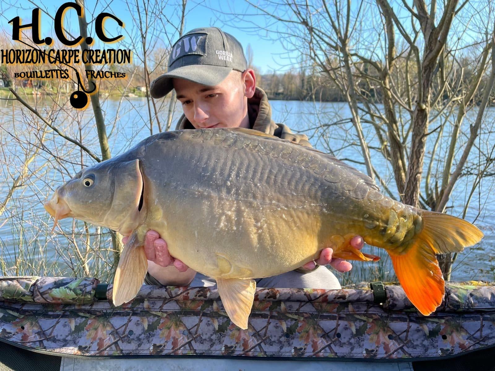 BAPTISTE - CLIENT HCC