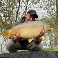 BAPTISTE GRELET - CONSULTANT HCC