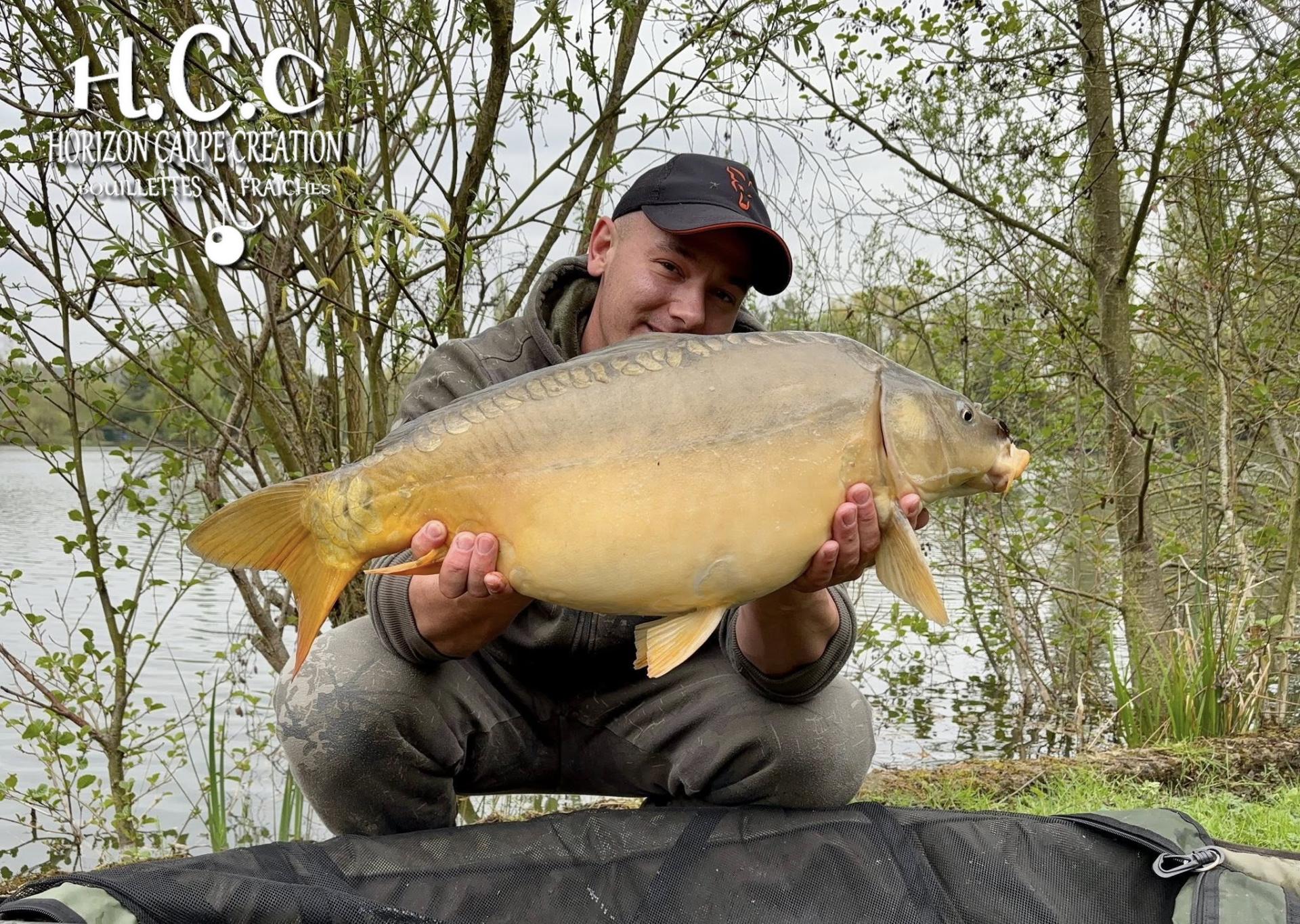 BAPTISTE GRELET - CONSULTANT HCC