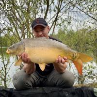 BAPTISTE GRELET - CONSULTANT HCC