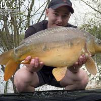 BAPTISTE GRELET - CONSULTANT HCC