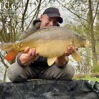 BAPTISTE GRELET - CONSULTANT HCC