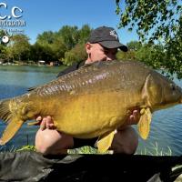 BAPTISTE GRELET - CONSULTANT HCC