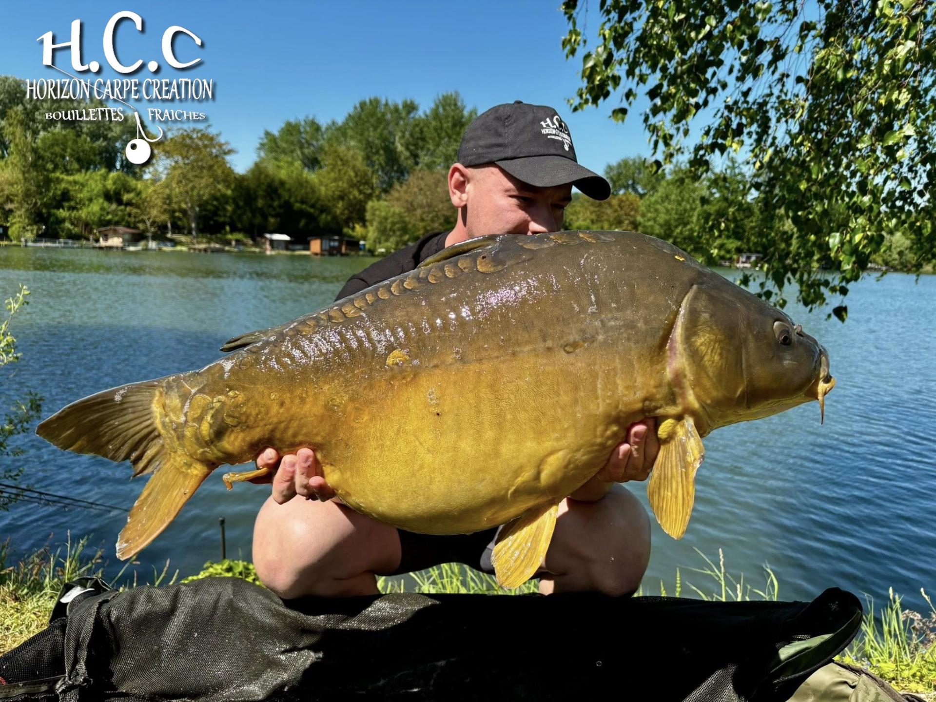 BAPTISTE GRELET - CONSULTANT HCC