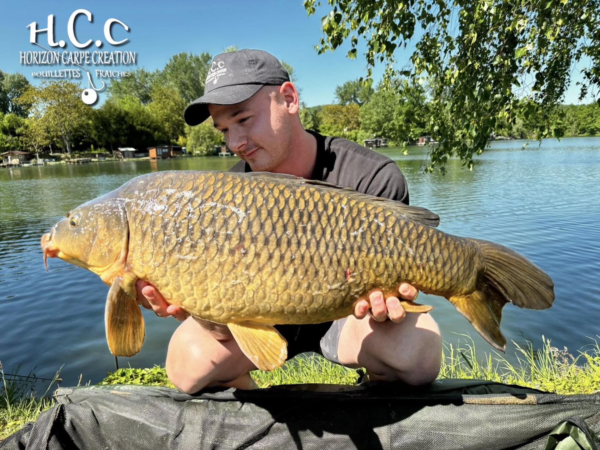 BAPTISTE GRELET - CONSULTANT HCC