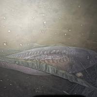 BAPTISTE GRELET - CONSULTANT HCC