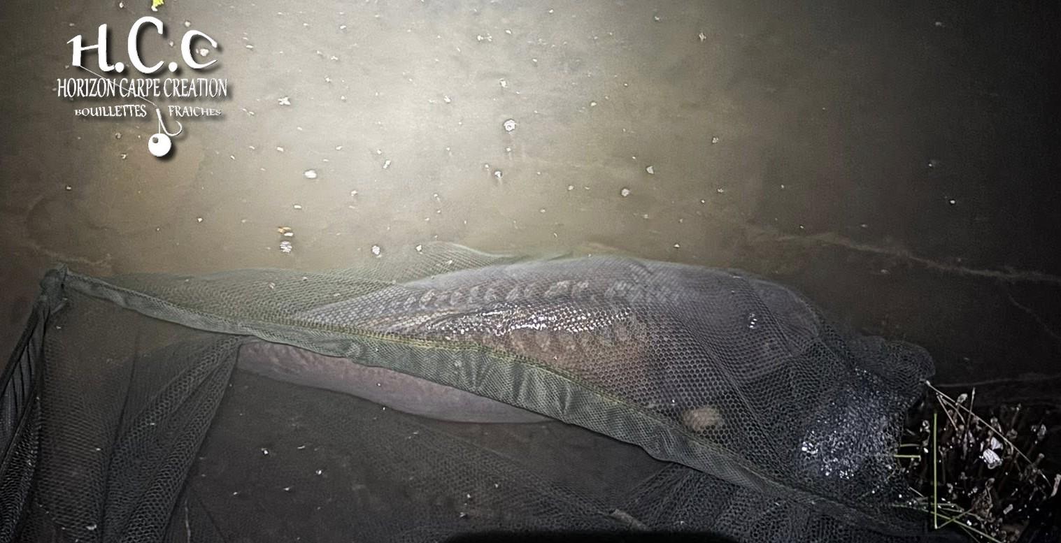 BAPTISTE GRELET - CONSULTANT HCC