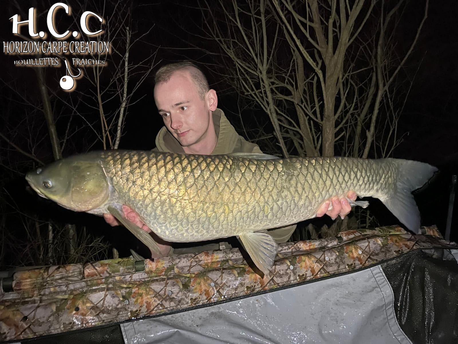 BAPTISTE - CLIENT HCC