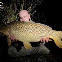 BAPTISTE GRELET - CONSULTANT HCC