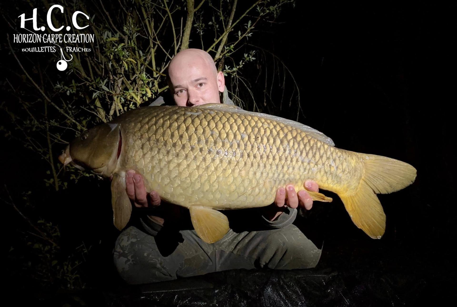 BAPTISTE GRELET - CONSULTANT HCC