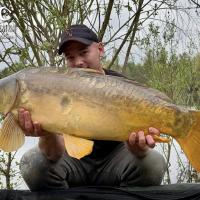 BAPTISTE GRELET - CONSULTANT HCC