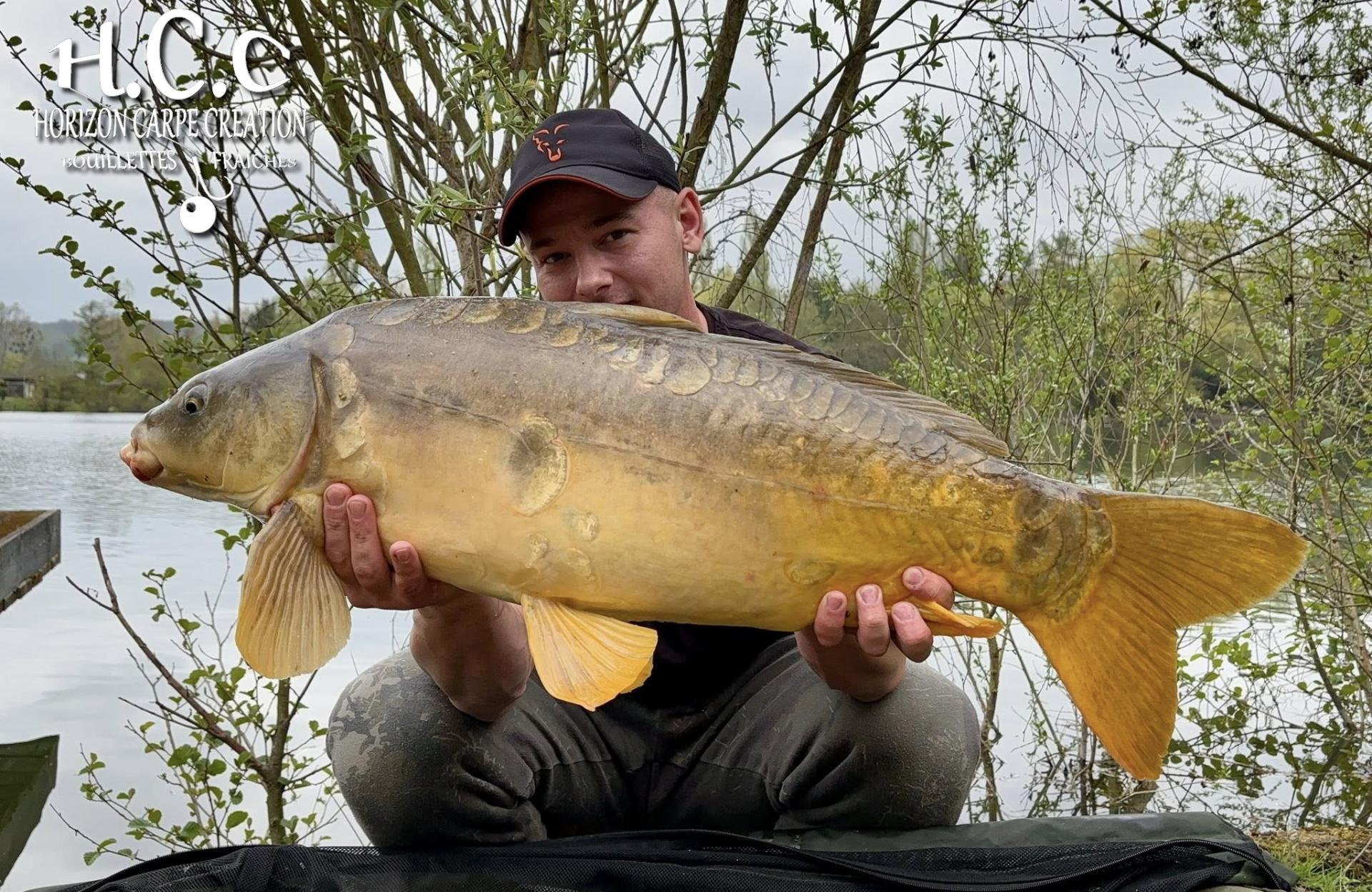 BAPTISTE GRELET - CONSULTANT HCC