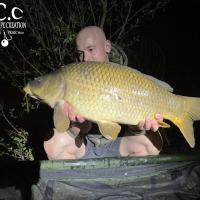 BAPTISTE GRELET - CONSULTANT HCC