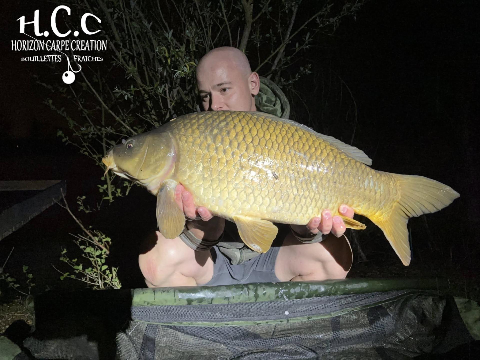 BAPTISTE GRELET - CONSULTANT HCC