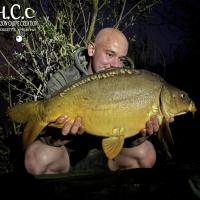 BAPTISTE GRELET - CONSULTANT HCC